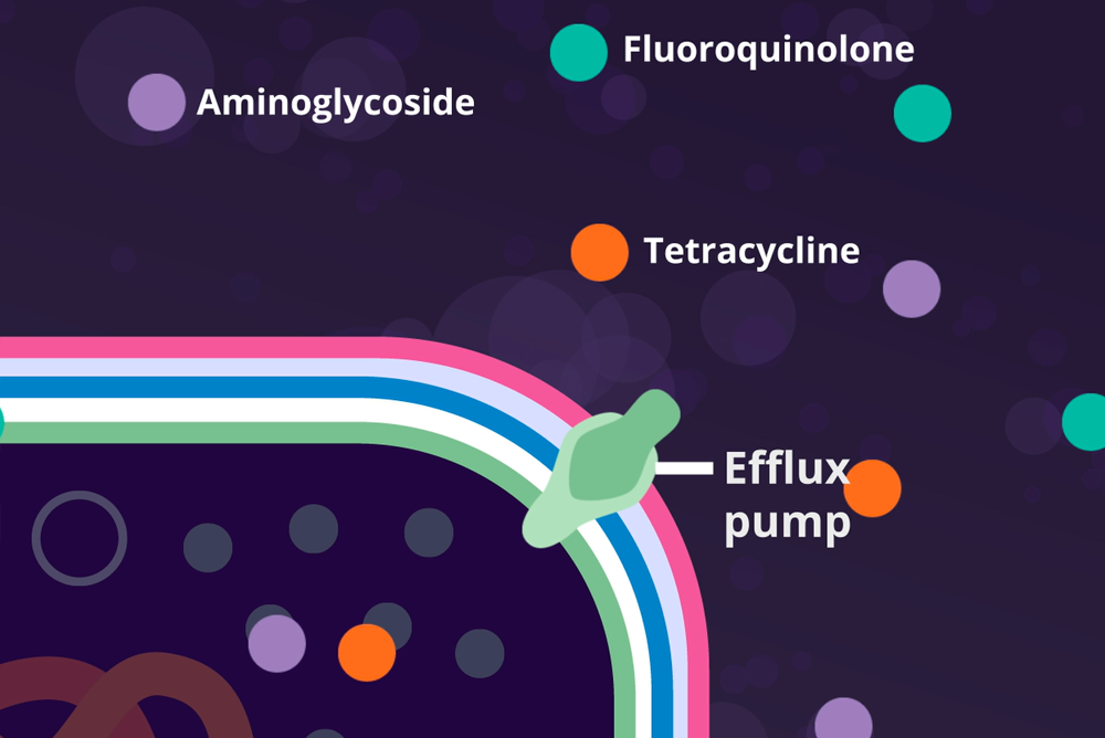 Module 2: Core concepts in AMR